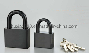 GS0123 Electrophoresis Black Disc Iron Padlock, High Quality Iron Padlock, ISO9001 Passed Iron Padlock, Disc Iron Padlock