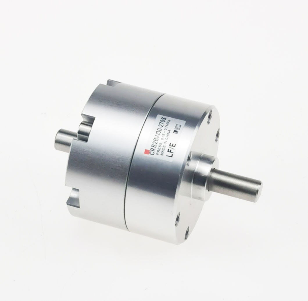 Cdrb2bw10-180s/D Rotary Actuator Cylinder; Cdrb2bw Series Vane Style Rotary Actuator Cylinder