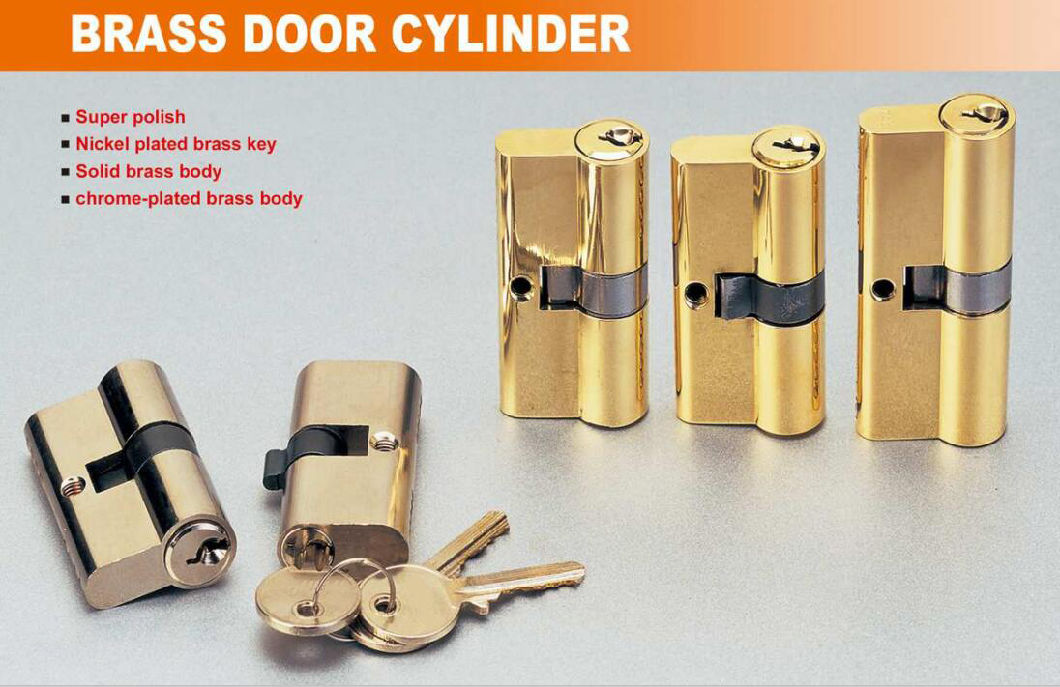 GS0800 Door Cylinder, High Quality Door Cylinder, European Stsandard Cylinder, Brass Door Cylinder, Lock Cylinder