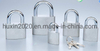 GS0088 Oval Iron Padlock, High Quality Grey Padlock, ISO9001 Passed Grey Padlock, Padlock