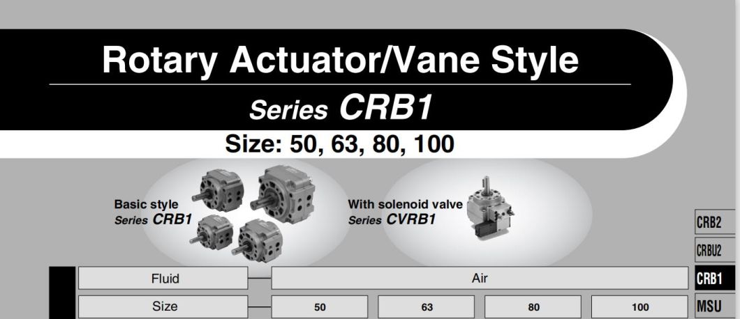 Cdrb1bw100-90/180/270s/E Rotary Actuator Cylinder; Cdrb1bw Series Vane Style Rotary Actuator Cylinder