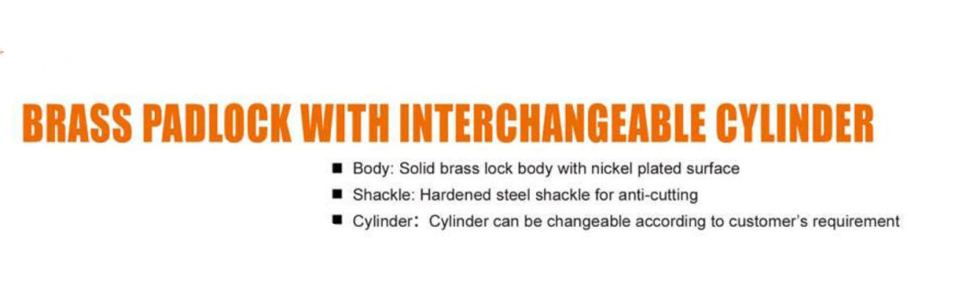 GS0117 Brass Disc Padlock with Interchangable Cylinder, High Quality Brass Padlock, Top Security Brass Padlock, ISO9001 Passed Brass Padlock