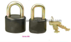 GS0056 Plastic Painted Stainless Steel Padlock, High Quality Stainless Stainless Steel Padlock, ISO9001 Passed Stainless Steel Padlock