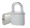 GS0117 Brass Disc Padlock with Interchangable Cylinder, High Quality Brass Padlock, Top Security Brass Padlock, ISO9001 Passed Brass Padlock