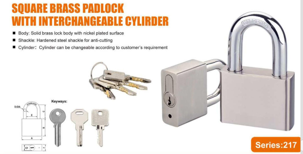 GS0217 Square Brass Padlock with Interchangable Cylinder, High Quality Brass Padlock, ISO9001 Passed Brass Padlock, Top Security Brass Padlock