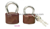 GS0055 Plastic Painted Stainless Steel Padlock, High Quality Stainless Stainless Steel Padlock, ISO9001 Passed Stainless Steel Padlock